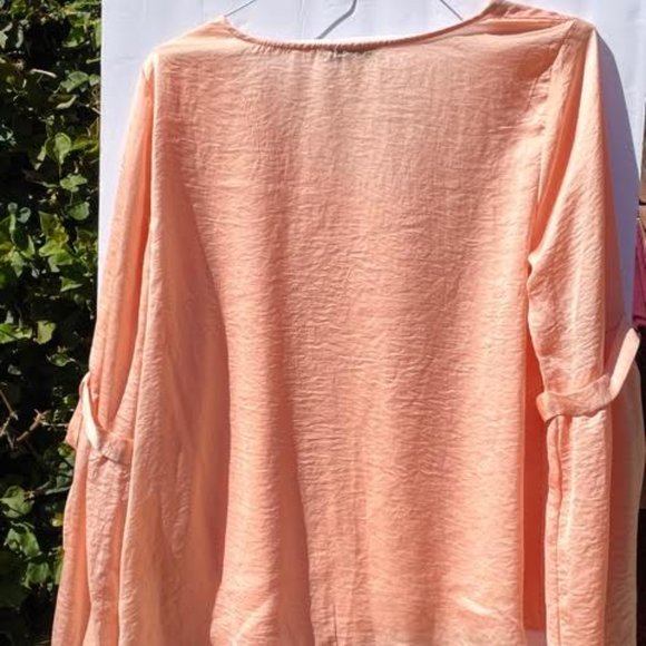 Chiffon Pink Blouse - Picture 5 of 14